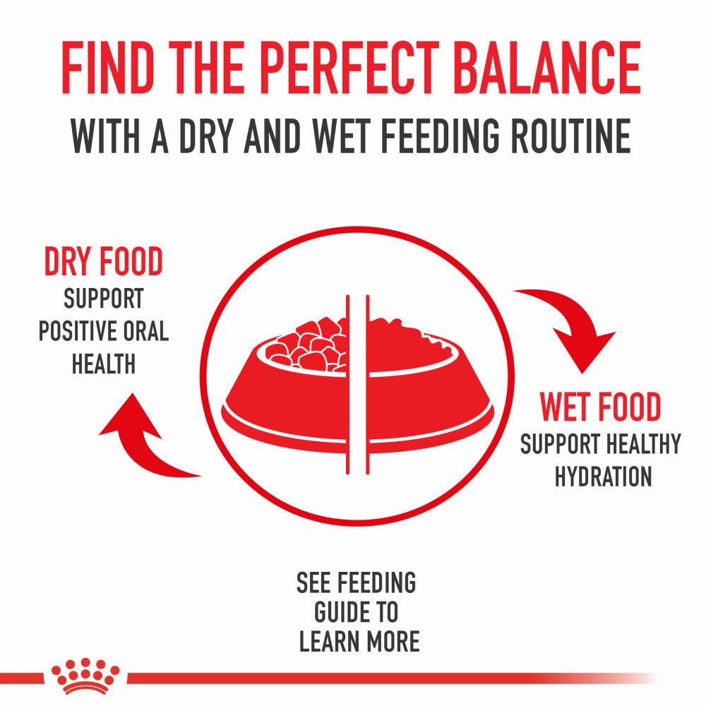 Royal Canin Feline Health Nutrition Digestive Care Dry Cat Food
