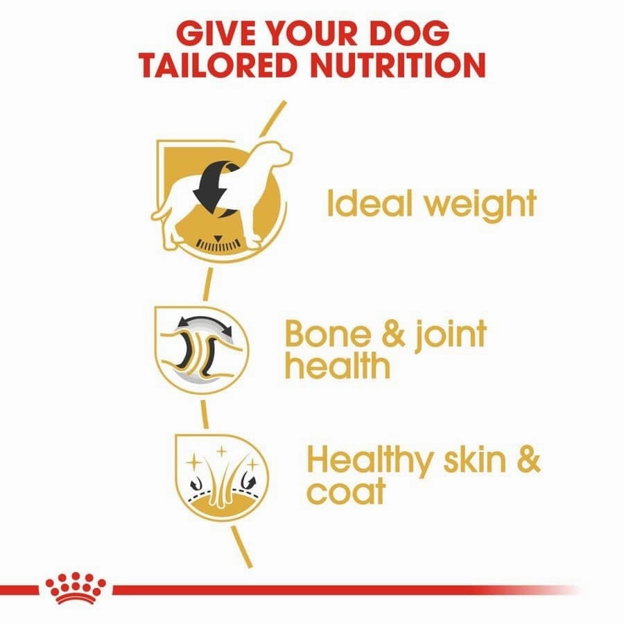 Royal Canin Labrador Retriever Adult Dog Dry Food