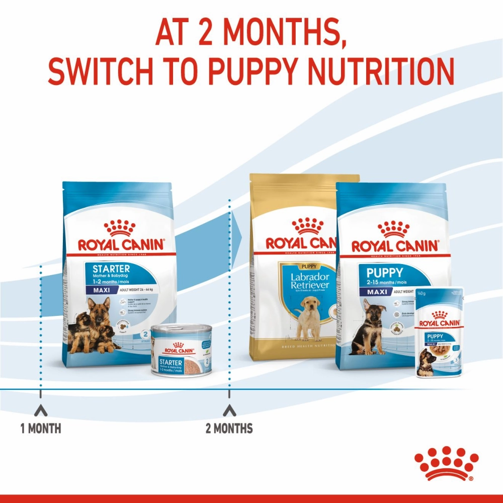 Royal Canin Maxi Starter Dry Dog Food