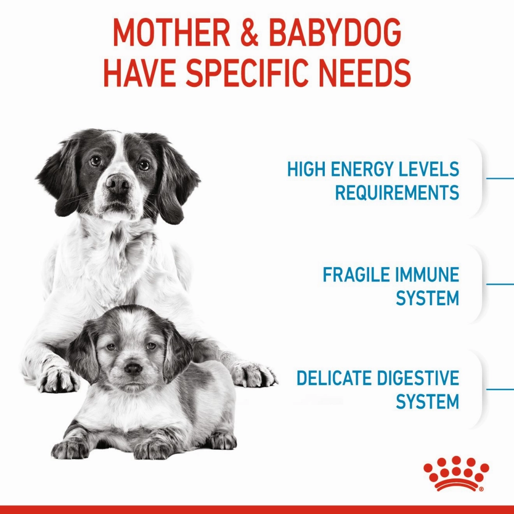 Royal Canin Medium Starter Dry Food for Medium Breed Dog and Puppies