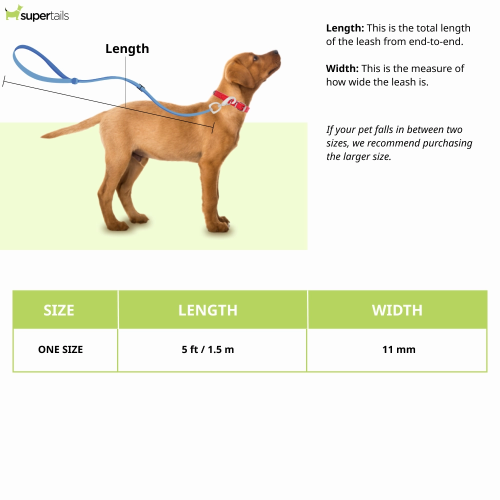 Ruffwear Just a Cinch Leash for Dogs (Lichen Green)
