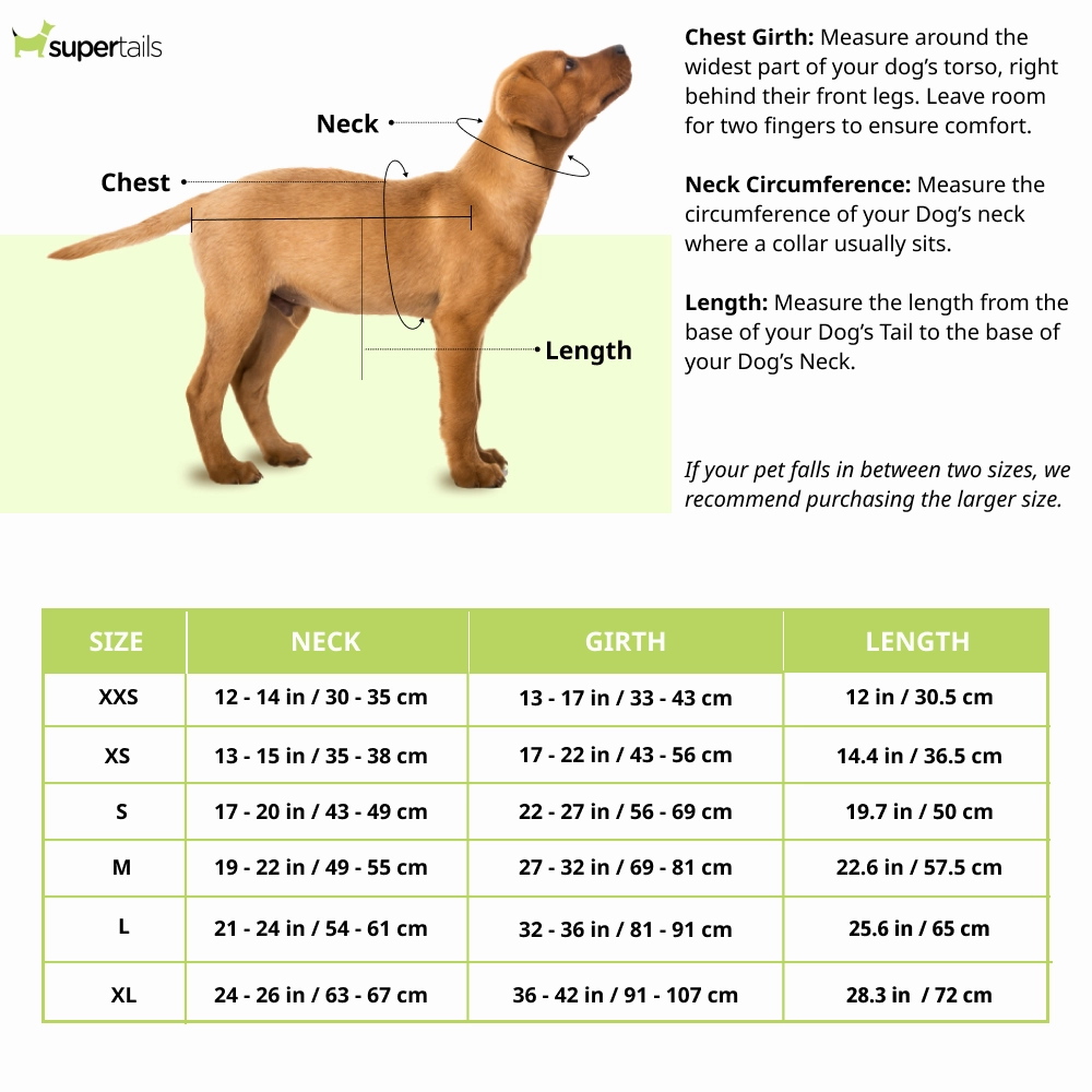 Ruffwear Swamp Cooler Jacket for Dogs (Graphite Gray)