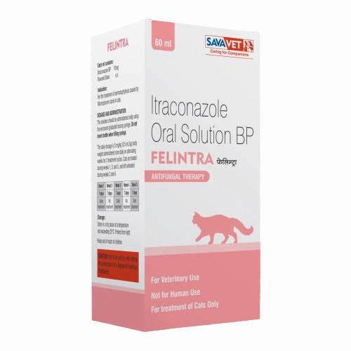Savavet Felintra (Itraconazole) Oral Solution Cat (60ml)