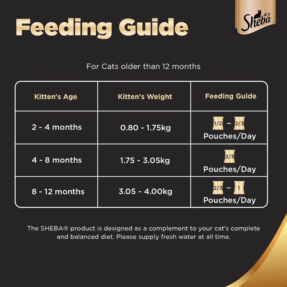 Sheba Chicken Loaf Rich Premium Kitten (2 to 12 Months) Fine Wet Food and Irresistible All Life Stage Cat Dry Food Combo