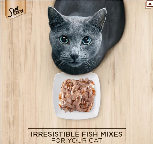Sheba Fish with Dry Bonito Flake, Skipjack & Salmon Fish, Maguro & Bream Fish Mix and Fish with Sasami Cat Wet Food Combo