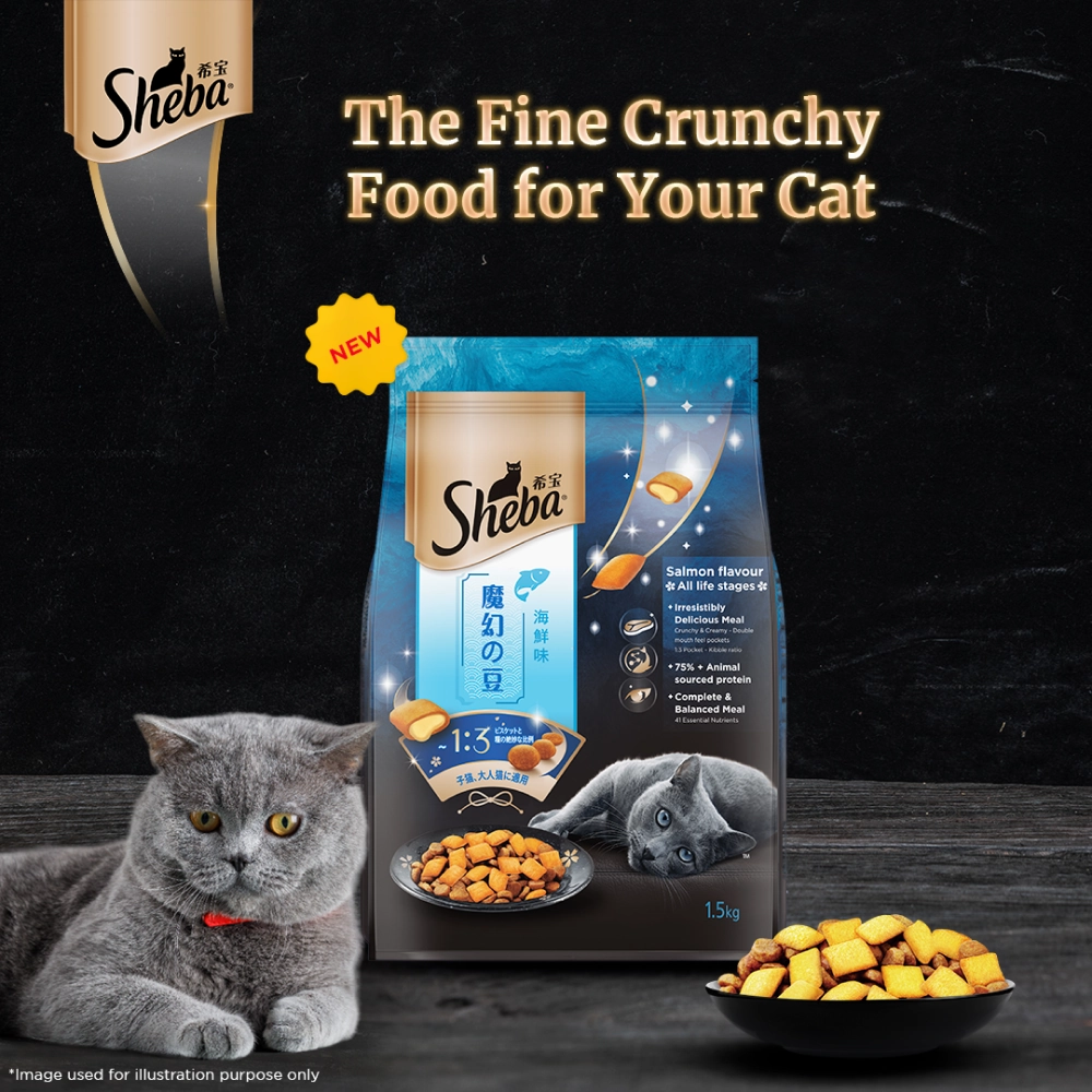 Sheba Salmon Flavour and Chicken Flavour Irresistible All Life Stage Cat Dry Food Combo (Limited Shelf Life)