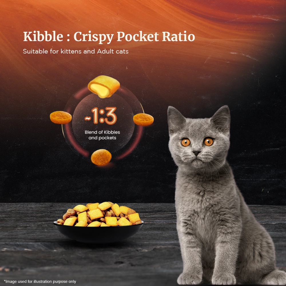 Sheba Salmon Flavour and Chicken Flavour Irresistible All Life Stage Cat Dry Food Combo (Limited Shelf Life)