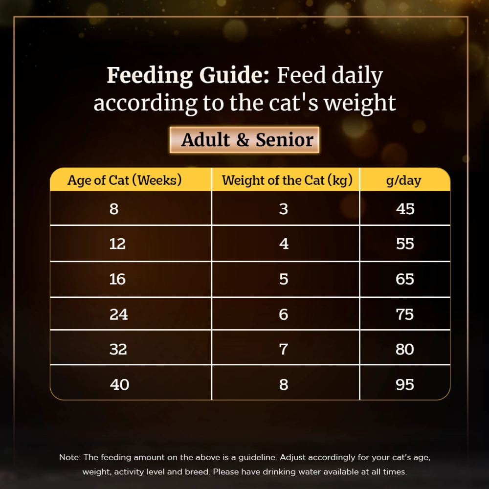 Sheba Salmon Flavour and Chicken Flavour Irresistible All Life Stage Cat Dry Food Combo (Limited Shelf Life)