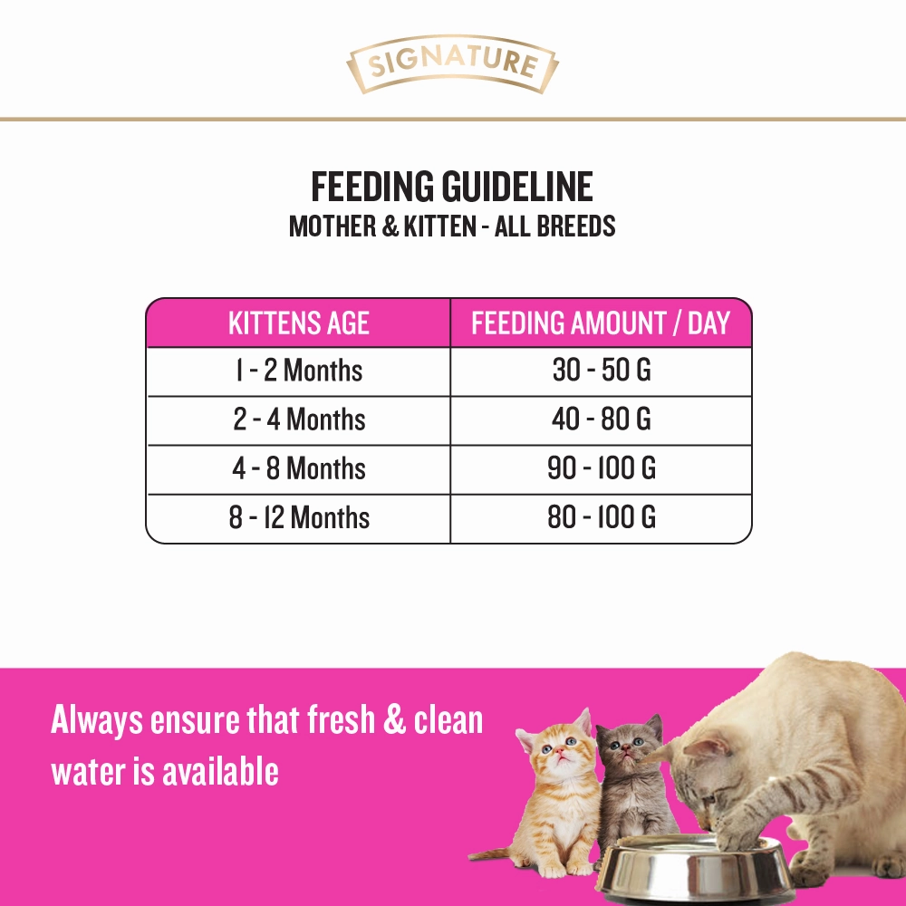 Signature Grain Zero Ocean Fish Sardine Mackerel Kitten Dry Food, Scoopy Lavender Natural Brown Sand Cat Litter Combo