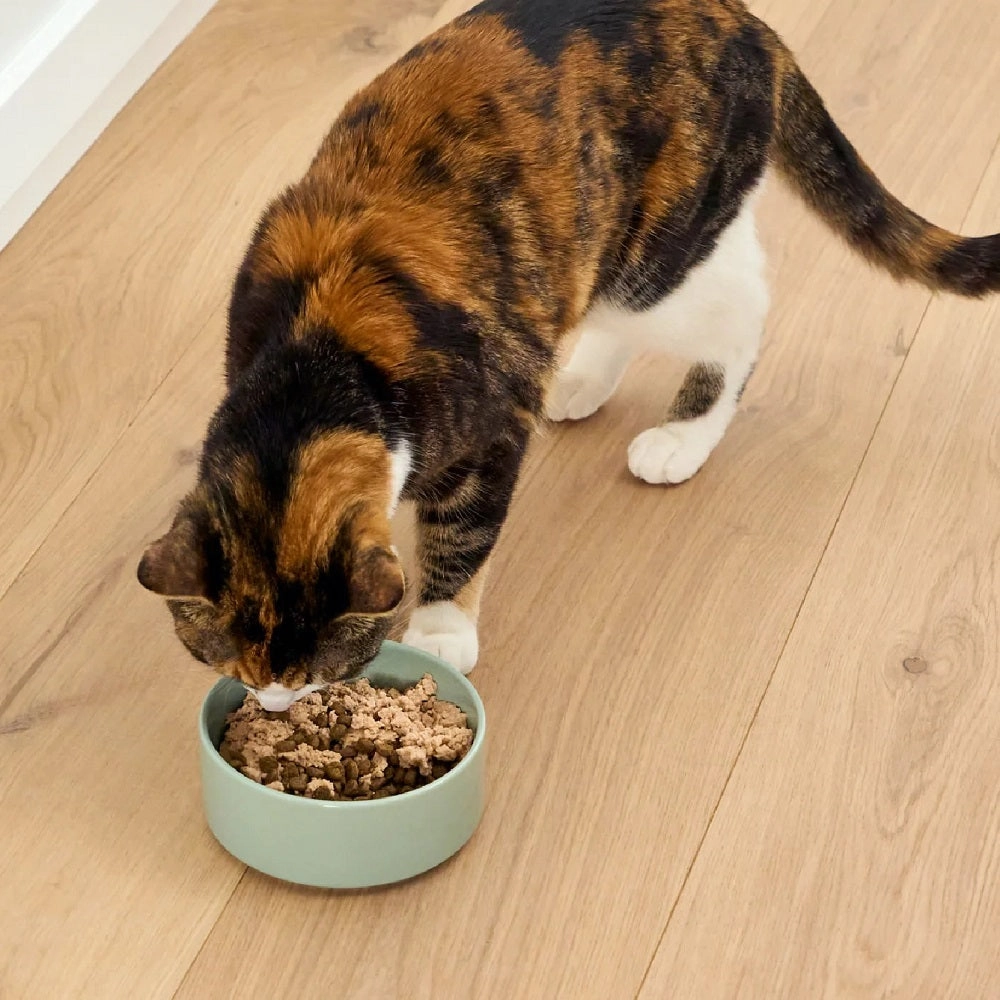 Silky Mousse Arctic Char Tasty Meal Topper for Cats