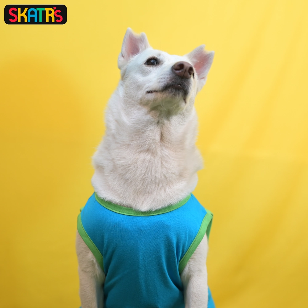 Skatrs Bitches Love Me Printed Summer Cotton T Shirt for Dogs and Cats (Blue)