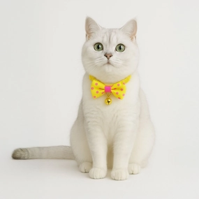 Skatrs Collar with Bow for Dogs and Cats (Yellow)