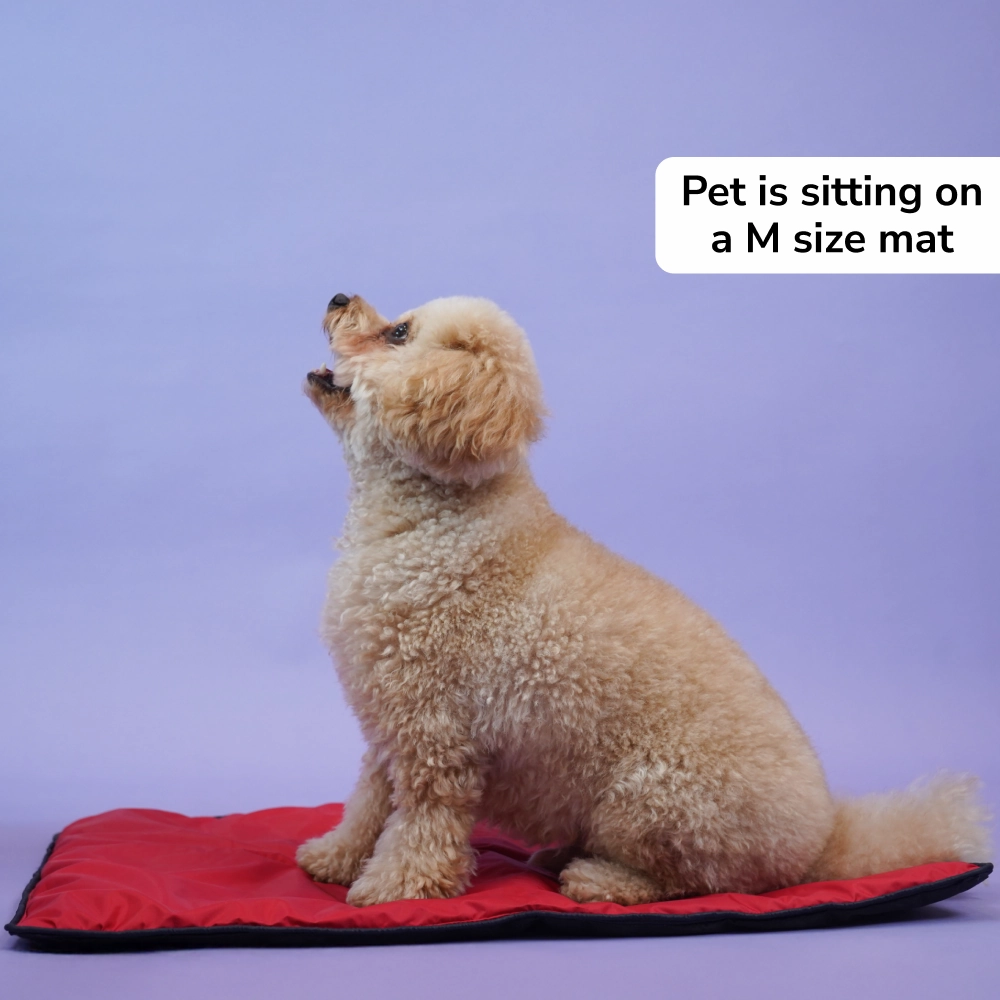 Skatrs Cooling Mat for Dogs (Red)