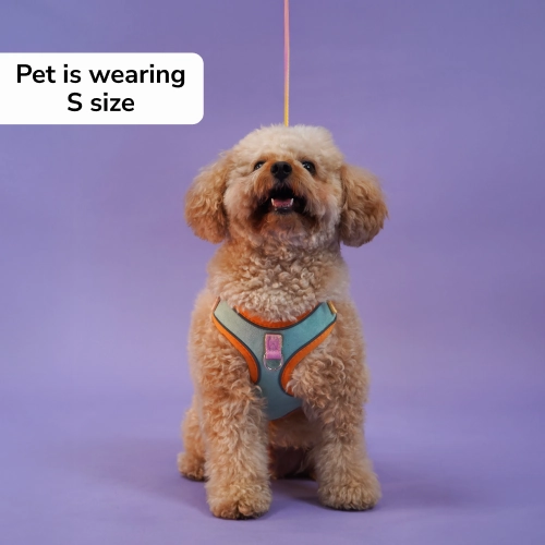 Skatrs Everyday Ready Harness & Leash Set for Small Breed Dogs & Cats (Green)