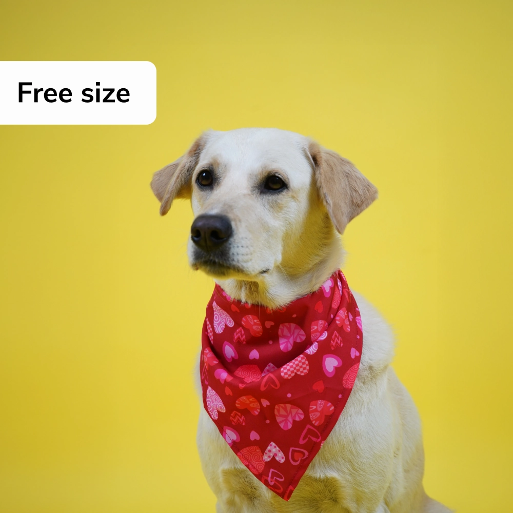 Skatrs Heart Printed Bandana for Dogs and Cats (Red)