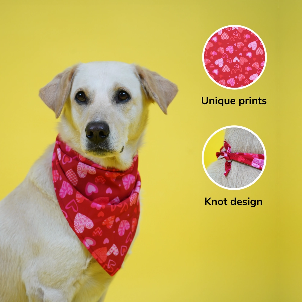 Skatrs Heart Printed Bandana for Dogs and Cats (Red)