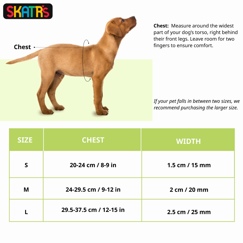 Skatrs Padded Nylon Y Harness for Dogs & Cats (Black)