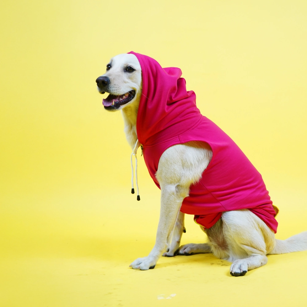 Skatrs Pop Breezy Vest with Pockets for Dogs and Cats (Pink)