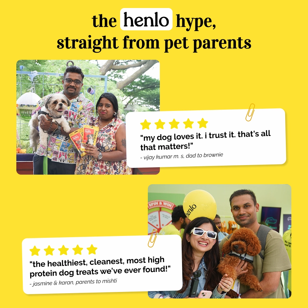 Skatrs Rope Ring Toy, Pet Vogue Bouncy Ball & Henlo Chicken Pops High Protein Treats Dog Combo
