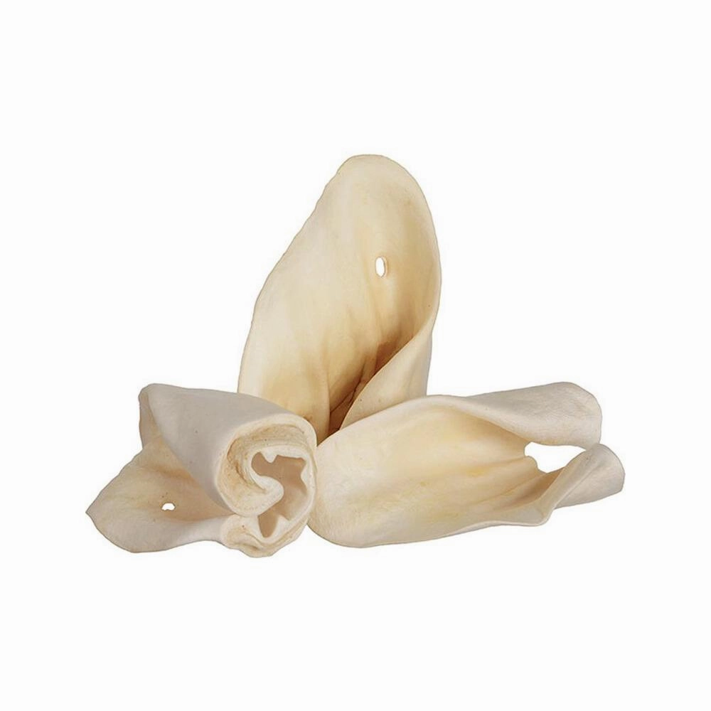 Slightly Roasted Beef Ear Dog Dental Chews