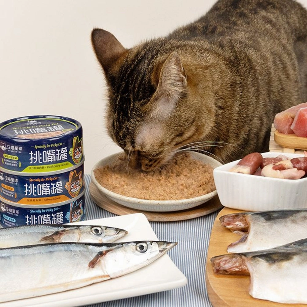 Specially for Picky Cat - Salmon & Bonito Complete Balanced Cat Can