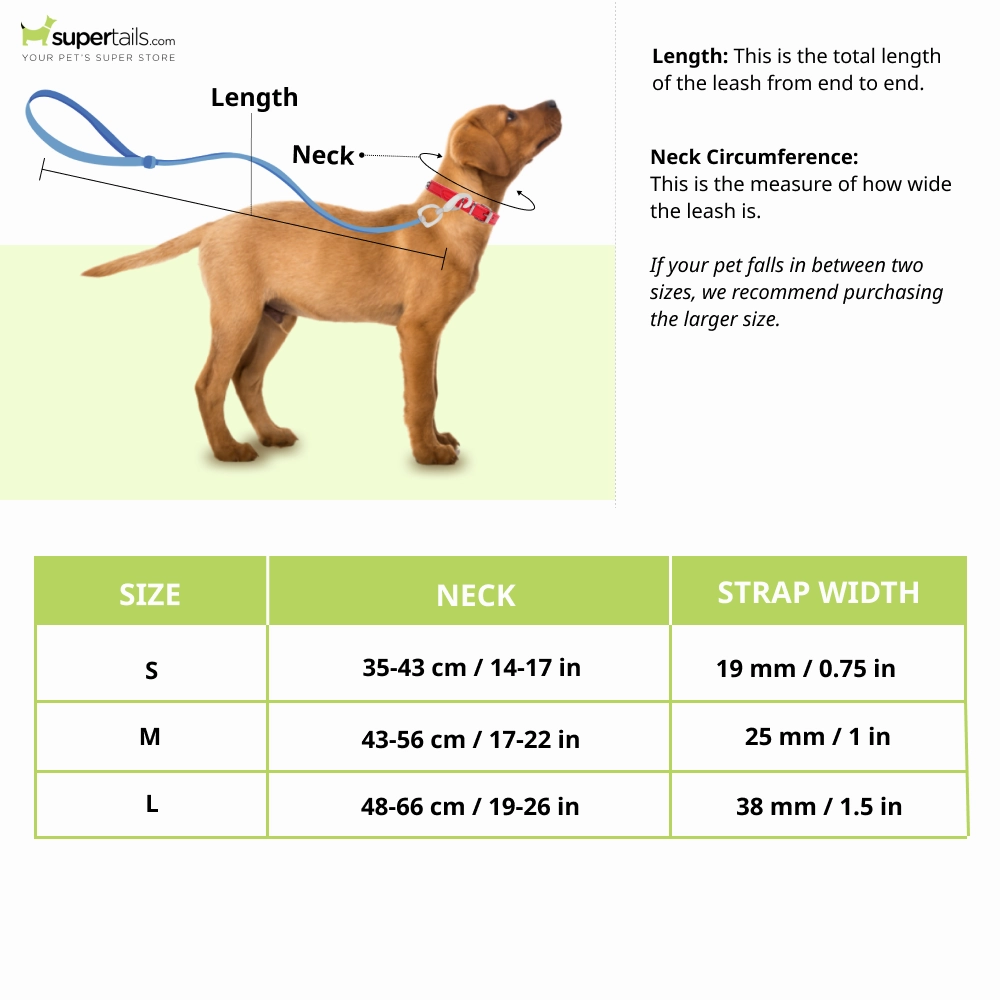 Tails to Tell Polyester Collar for Dogs (Blue)