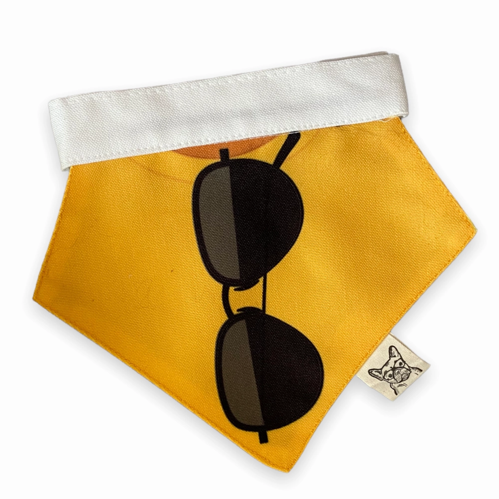 Talking Dog Club Beach Buns Bandana for Dogs and Cats (Yellow)
