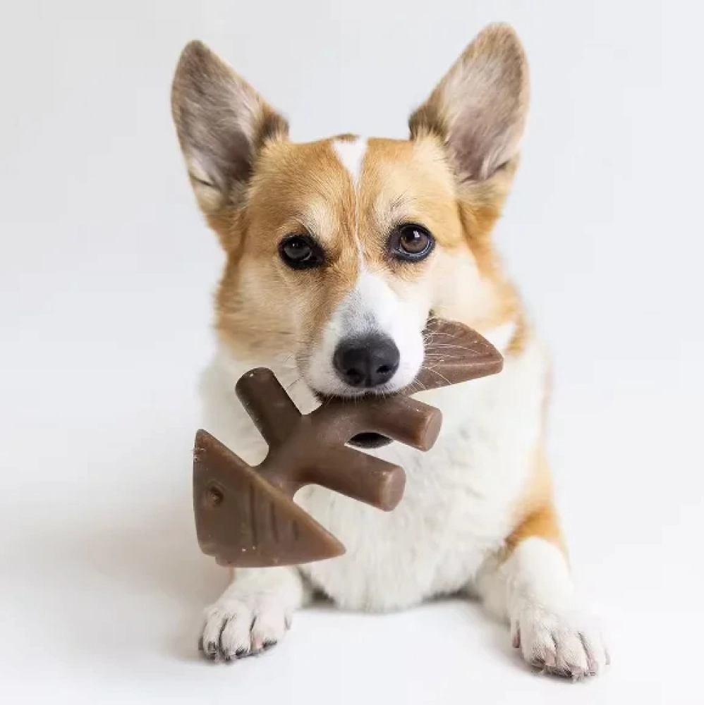 Talking Dog Club Fish Nylon Bone Heavy Chew Toy for Dogs (Brown)