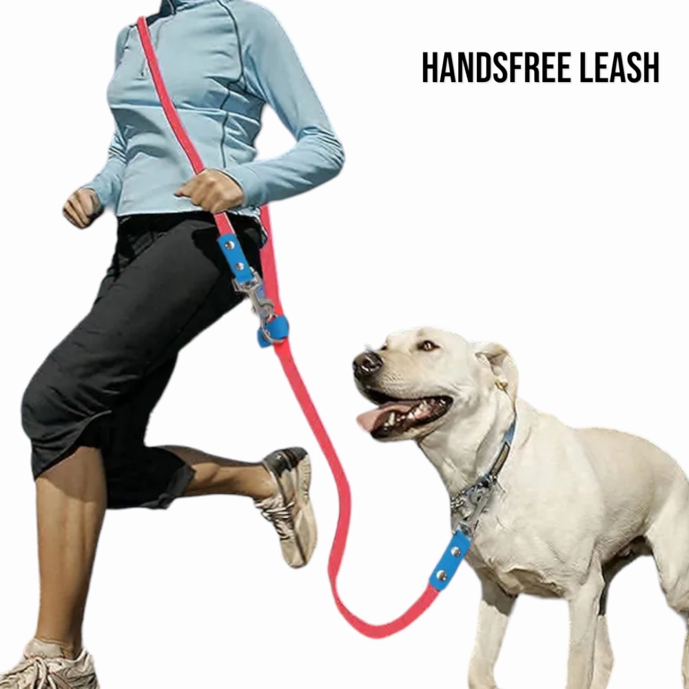 Talking Dog Club Multifunction Handsfree Leash for Dogs (Purple/Green)