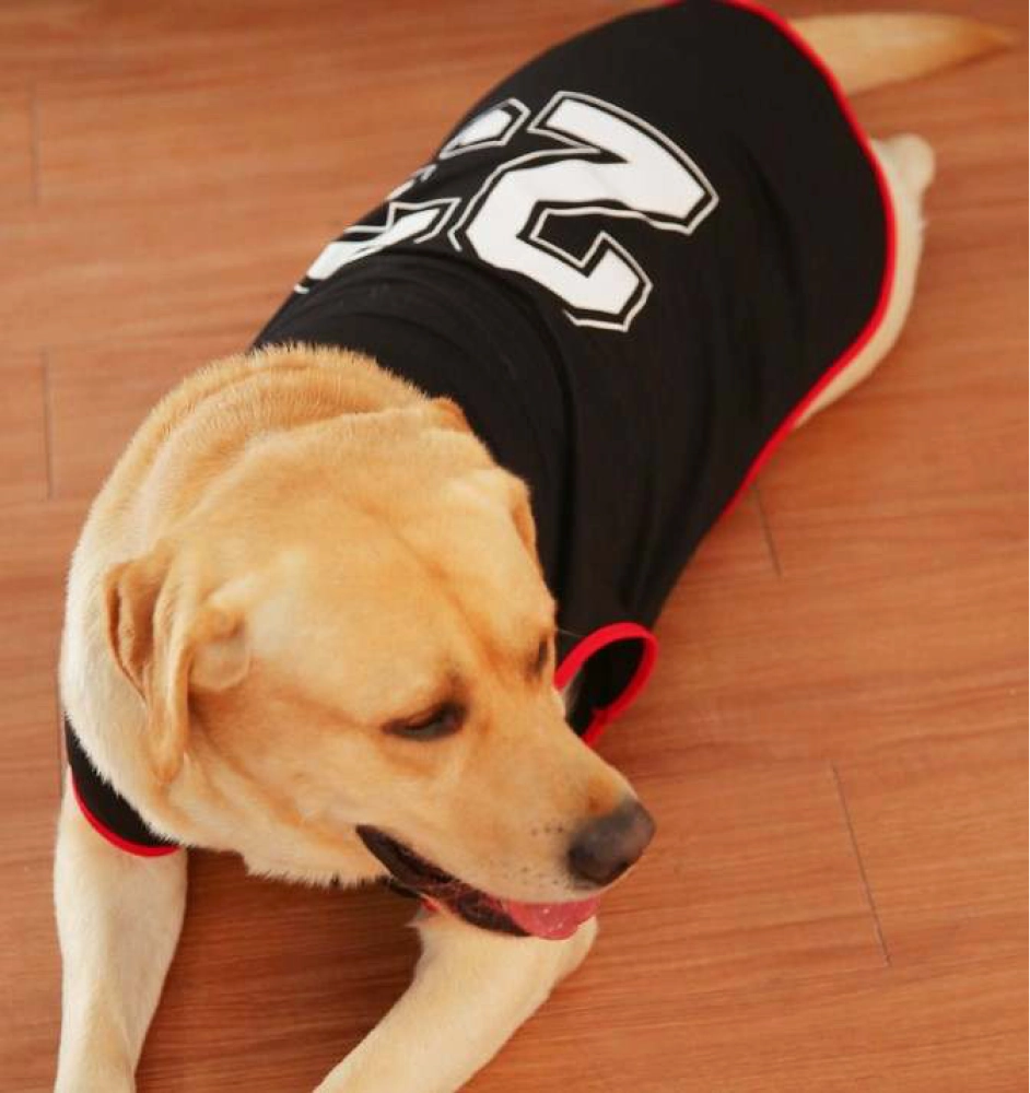 Talking Dog Club Player Ltd Edition Sports Jersey for Dogs (Black)