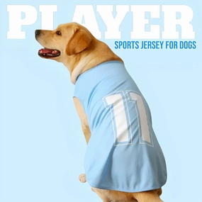 Talking Dog Club Player Ltd Edition Sports Jersey for Dogs (Blue)