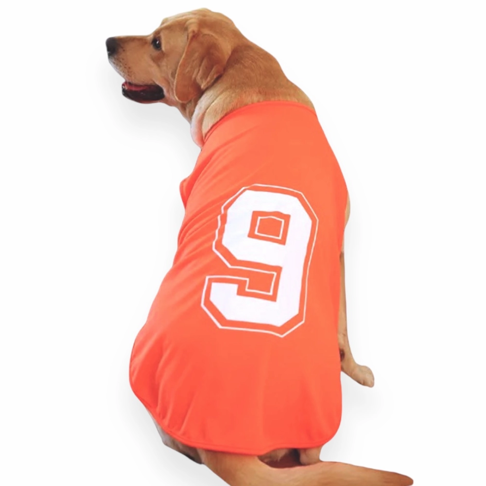 Talking Dog Club Player Ltd Edition Sports Jersey for Dogs (Orange)