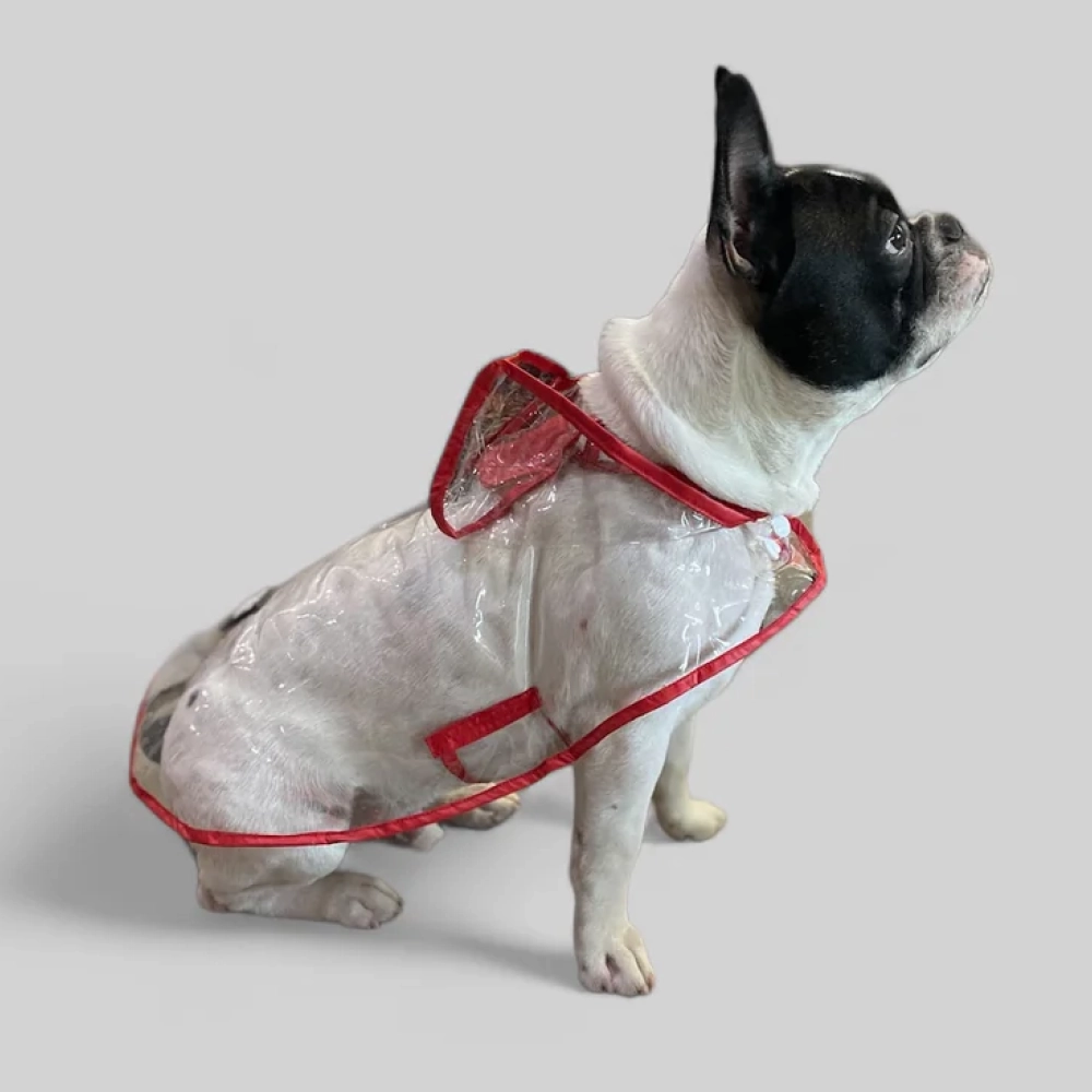 Talking Dog Club Waterproof Raincoat for Dogs (Red)