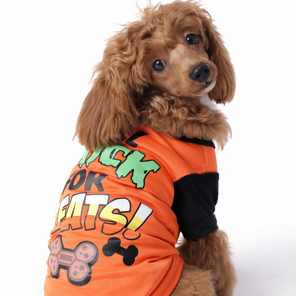 The Happy Lots Pet Halloween Tshirt for Dogs (Orange)