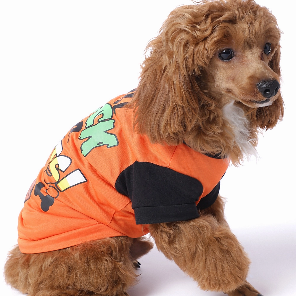 The Happy Lots Pet Halloween Tshirt for Dogs (Orange)