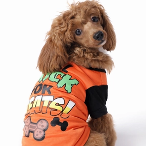 The Happy Lots Pet Halloween Tshirt for Dogs (Orange)