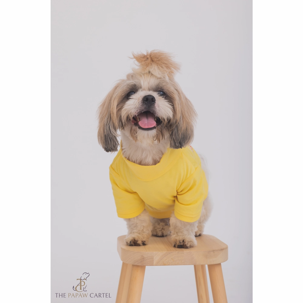 The Papaw Cartel I AM My Own Muse Turtle Neck Tshirt for Dogs (Yellow)