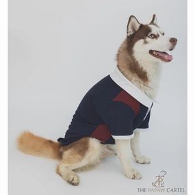 The Papaw Cartel Multi Color Golf Polo Tshirt for Dogs (Blue/Maroon)