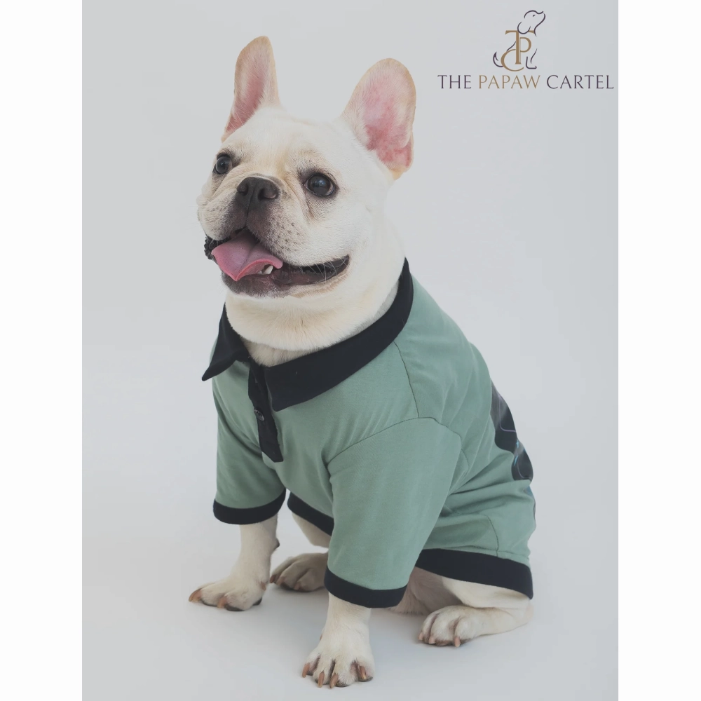 The Papaw Cartel One In A Million Polo Tshirt for Dogs (Sage Green)