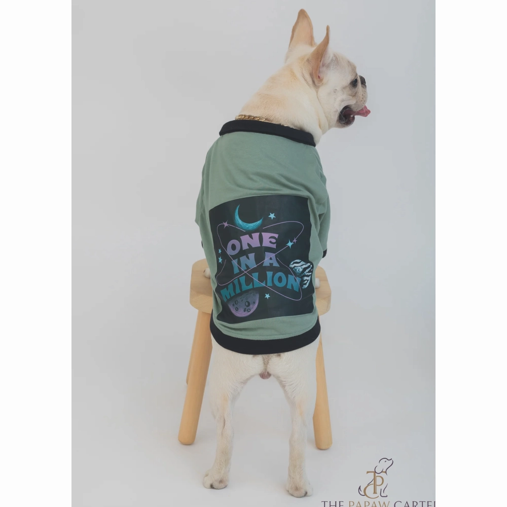 The Papaw Cartel One In A Million Polo Tshirt for Dogs (Sage Green)