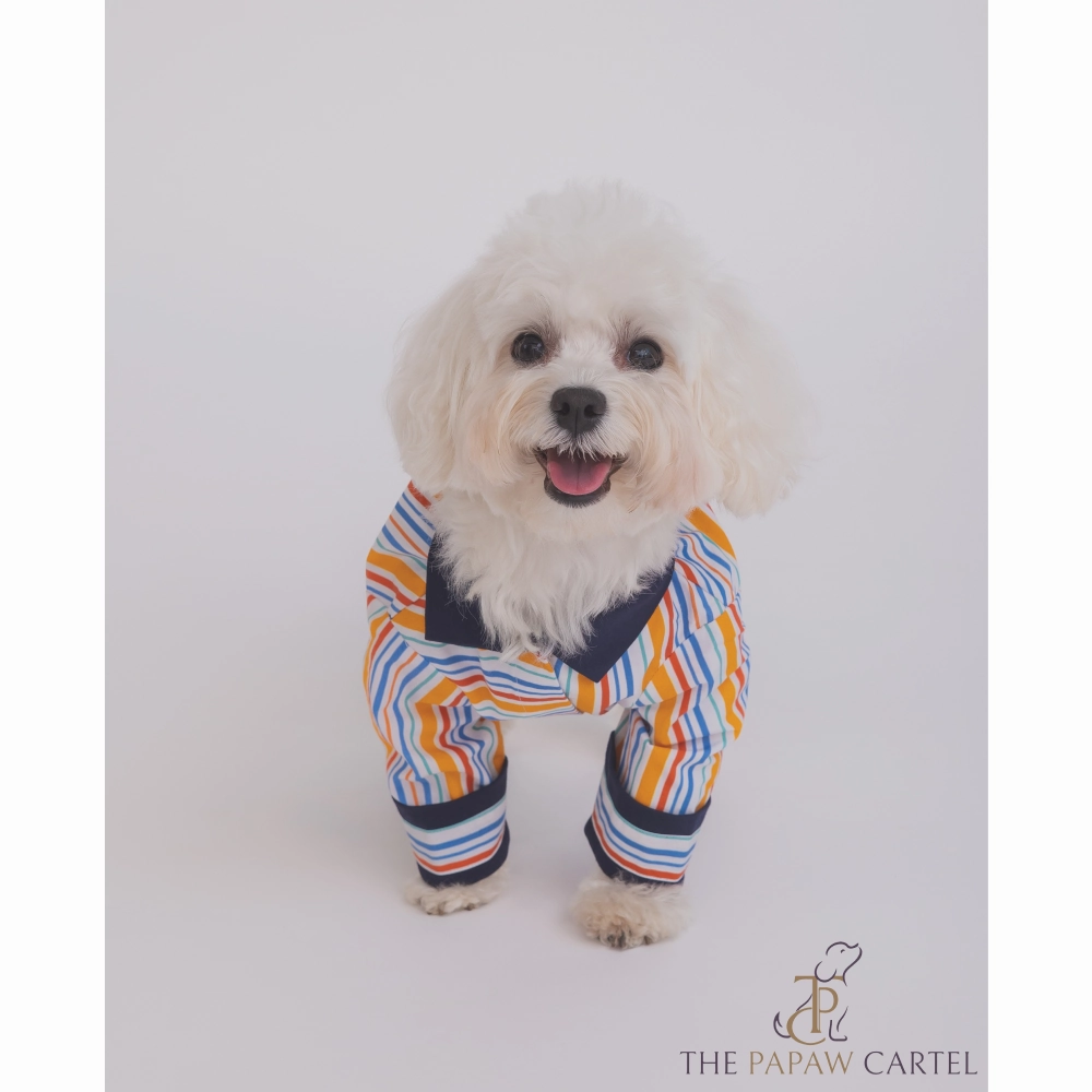 The Papaw Cartel Stripe Shirt for Dogs (Multicolor)