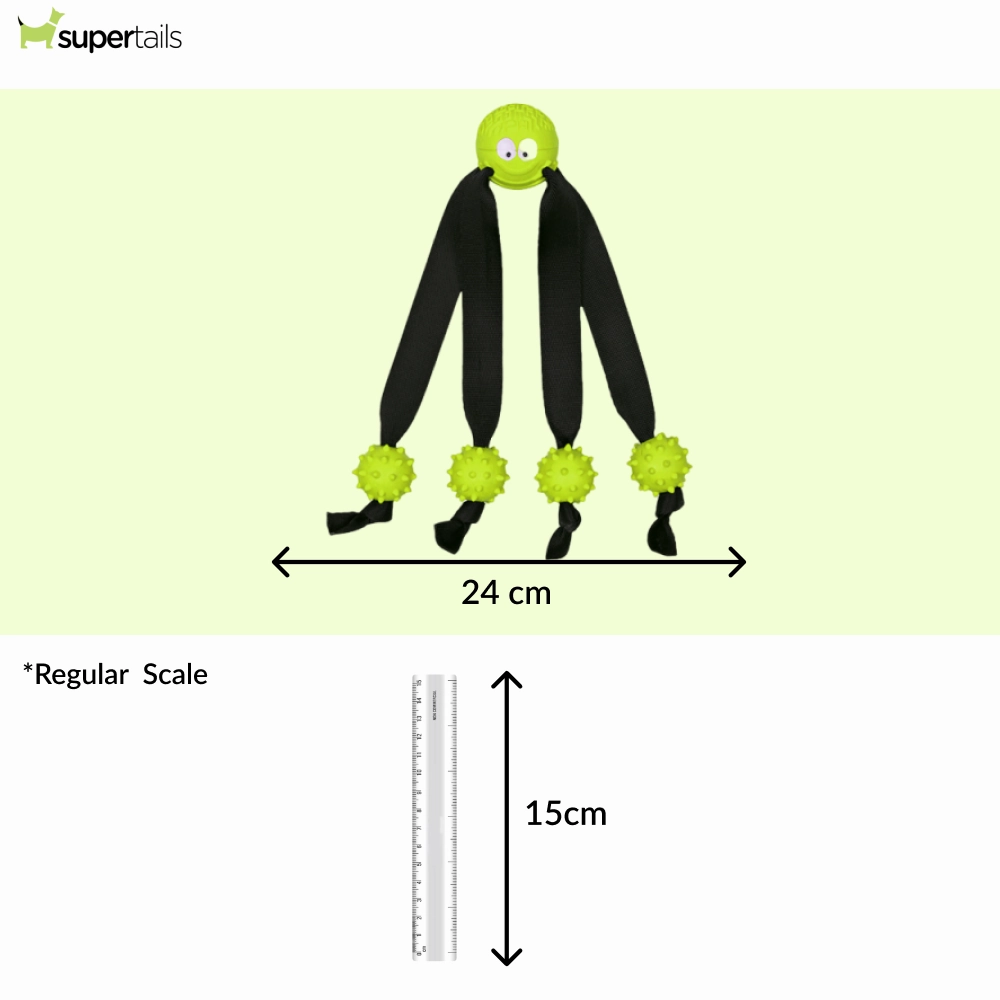 Trixie Ball on a Strap Toy for Dogs (Green)