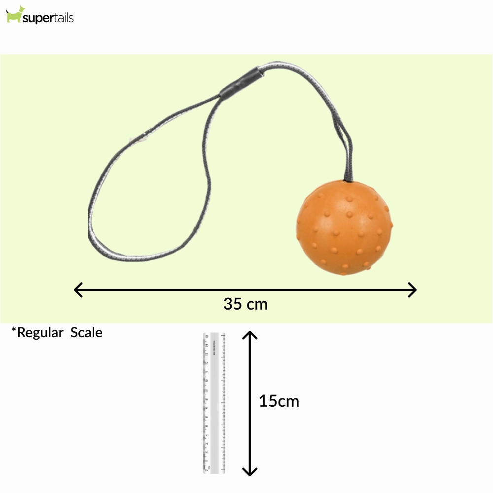 Trixie Ball on a Strap Toy for Dogs (Orange)