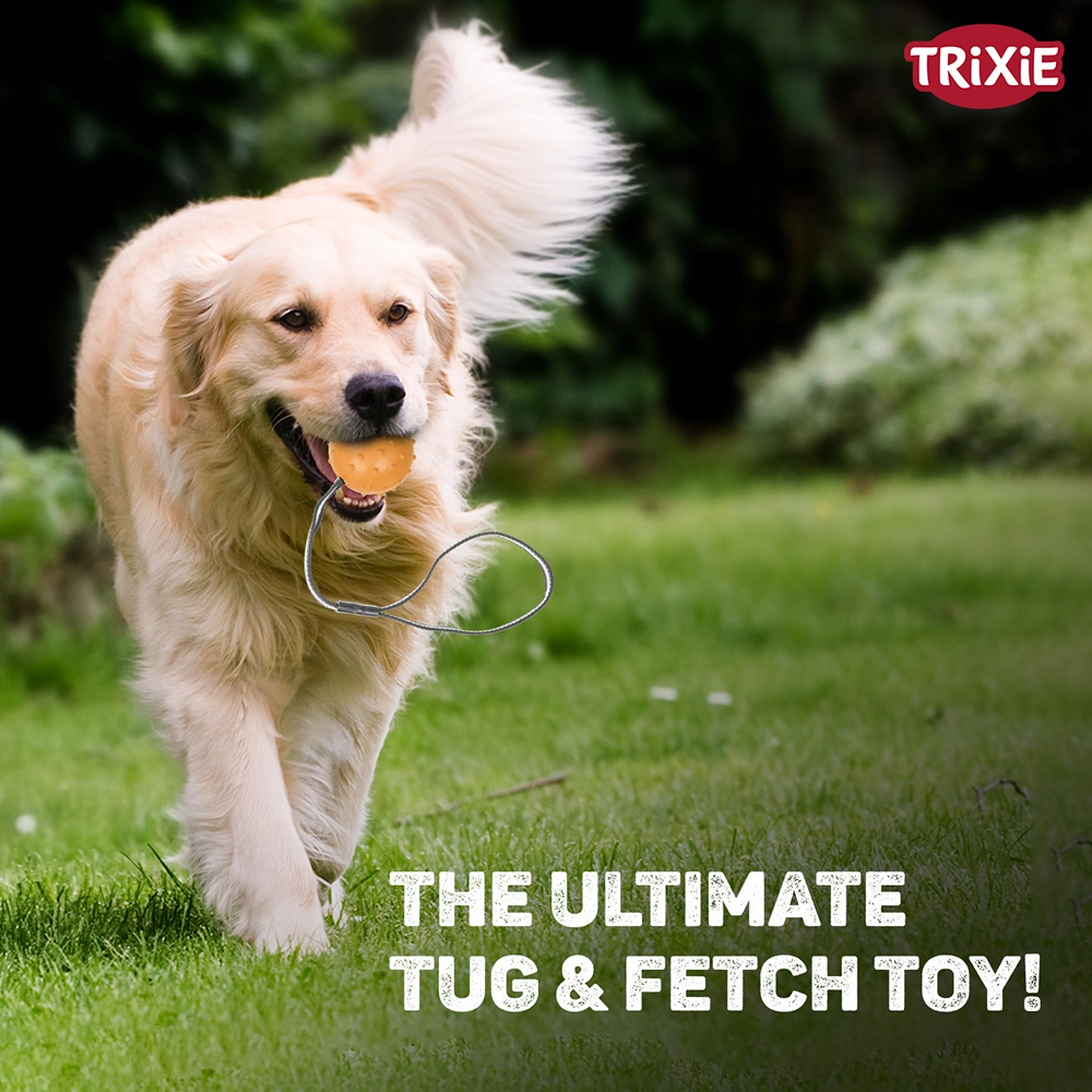 Trixie Ball on a Strap Toy for Dogs (Orange)