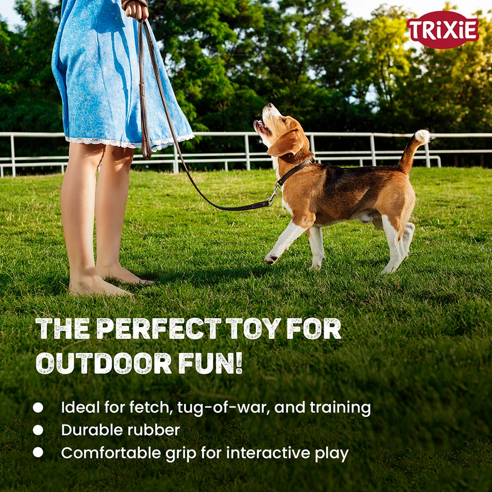 Trixie Ball on a Strap Toy for Dogs (Orange)