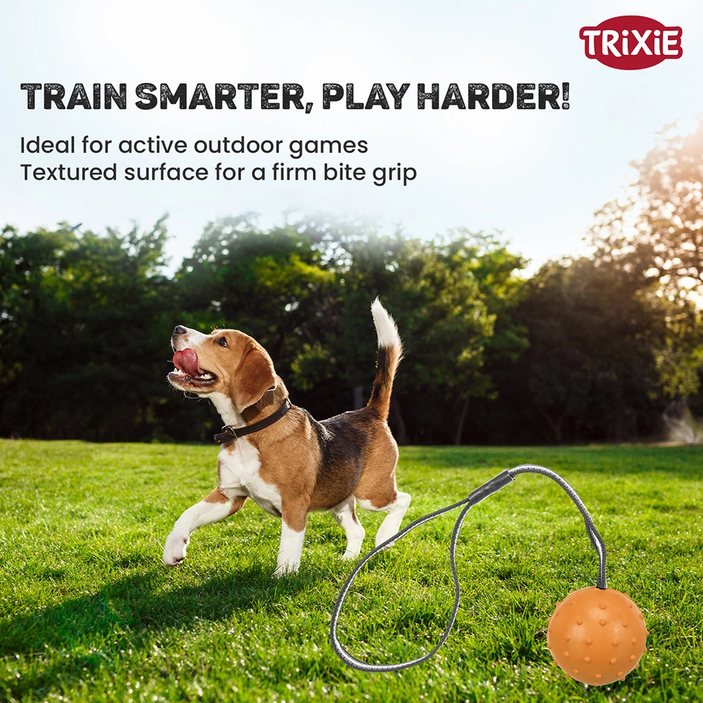 Trixie Ball on a Strap Toy for Dogs (Orange)