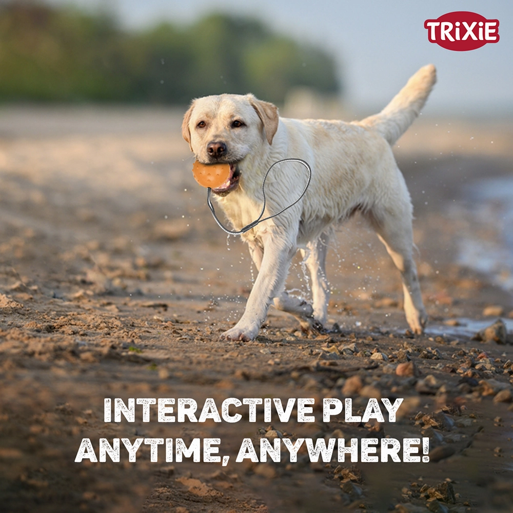 Trixie Ball on a Strap Toy for Dogs (Orange)