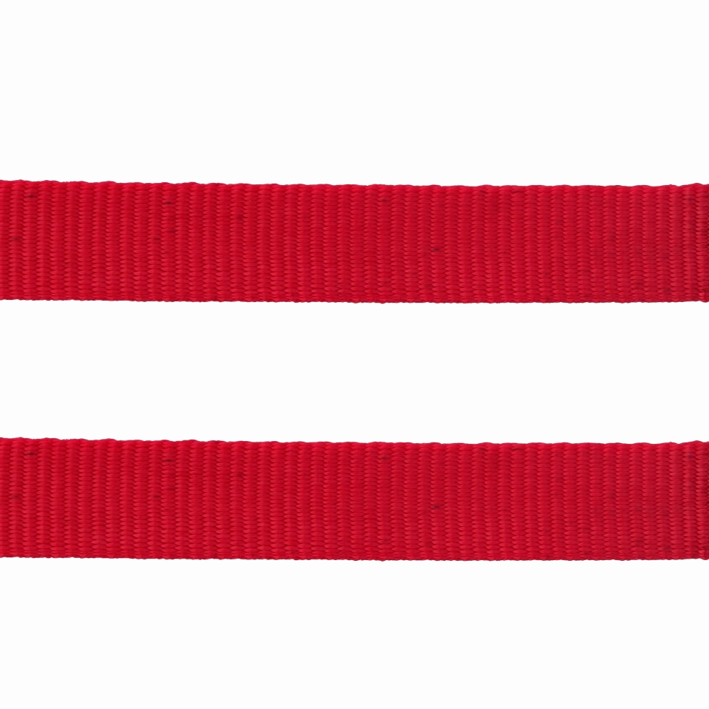 Trixie Classic Lead Leash for Dogs (Red)