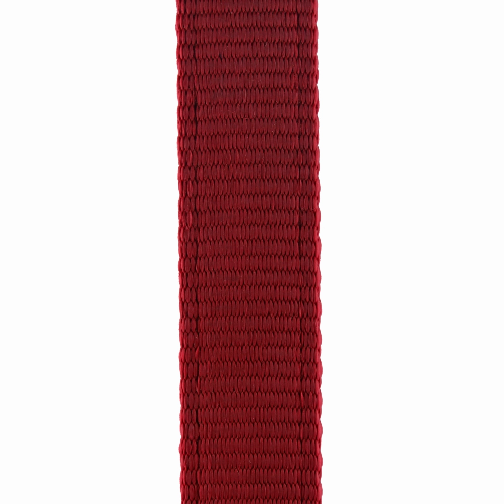 Trixie Premium Leash for Dogs (Red)