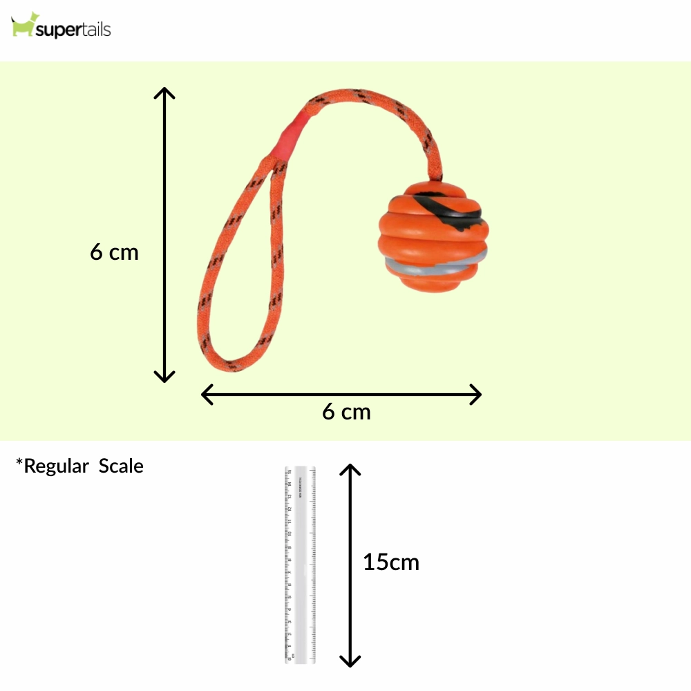 Trixie Wavy Ball on a Rope Toy for Dogs (Orange)